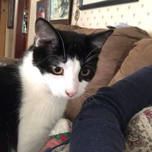 Meet your Posher, Sharon